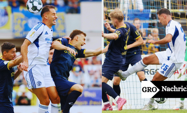 ticker: teilnehmer: lok leipzig gegen fc schalke 04