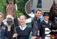 Welche Krankheit hat Frederik Werth