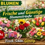 Aldi Blumen: Der Geheimtipp für Frische und Günstige Blumensträuße