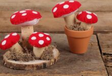 Fliegenpilz als Geschenk