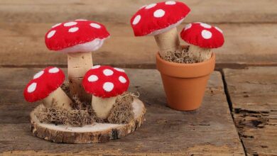 Fliegenpilz als Geschenk