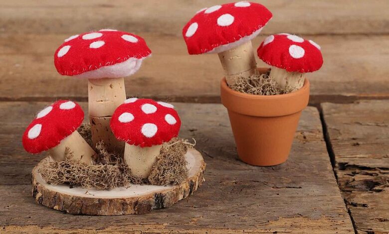 Fliegenpilz als Geschenk